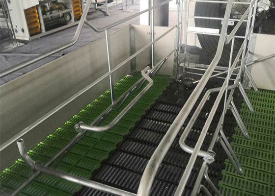 গুণ  Fabricated Prefab Steel Structure Pig House Galvanised Industrial কারখানা