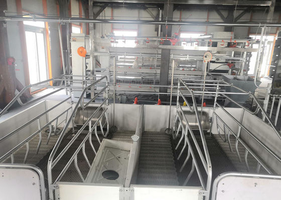 Prefab ইস্পাত পোর্টাল ফ্রেম কাঠামো নির্মাণ বায়ুরোধী শূকর ঘর
