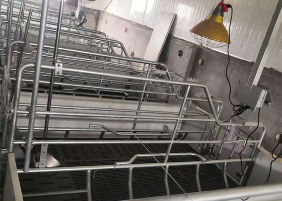 Prefab ইস্পাত পোর্টাল ফ্রেম কাঠামো নির্মাণ বায়ুরোধী শূকর ঘর