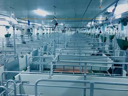 OEM / ODM ইস্পাত কাঠামো পিগ হাউস ফায়ারপ্রুফ প্রিফ্যাব ফার্ম বিল্ডিং