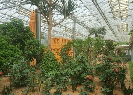 গ্রিন প্ল্যান্ট গার্ডেন টেম্পারড গ্লাস গ্রিনহাউস বড় শোভাময় ফুলের জন্য