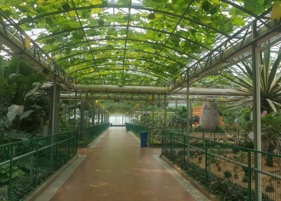 উচ্চ গ্রেড Venlo গ্লাস গ্রীনহাউস গ্যালভানাইজড পাইপ বাণিজ্যিক