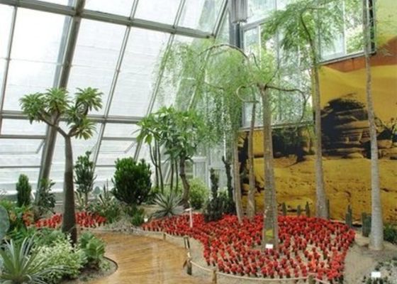 শীতকালীন বাগান সূর্যালোক রুম ছোট ইস্পাত Venlo গ্লাস গ্রীনহাউস পিছনে পাড়া