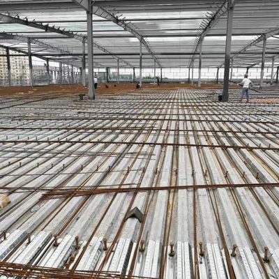 গুদাম ওয়ার্কশপ বিল্ডিং স্টোরেজের জন্য Q355B ইস্পাত কাঠামো