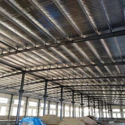 বিভিন্ন অ্যাপ্লিকেশনের জন্য কাস্টমাইজড পোর্টাল ইস্পাত কাঠামো গুদাম