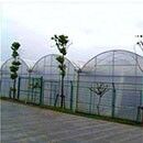 উদ্ভিদের ফলন বৃদ্ধির জন্য ধ্রুবক স্প্যান পিও ফিল্ম গ্রিনহাউস