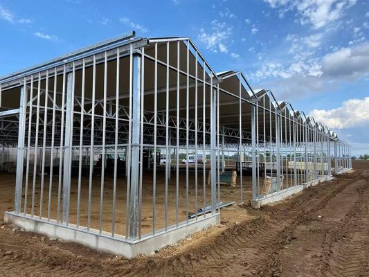 ভেনলুও দর্শনীয় গ্লাস গ্রিনহাউস - বৃহৎ আকারের সবজি চাষের গ্রিনহাউস