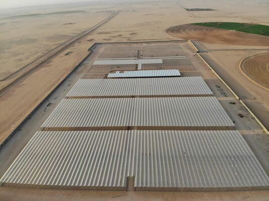 কৃষি রোপণ ব্যবহার, ওয়াননুও দর্শনীয় কাঁচের গ্রিনহাউস