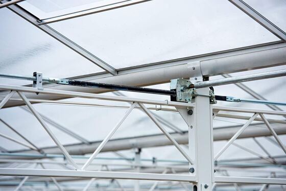 কৃষি রোপণ ব্যবহার, ওয়াননুও দর্শনীয় কাঁচের গ্রিনহাউস