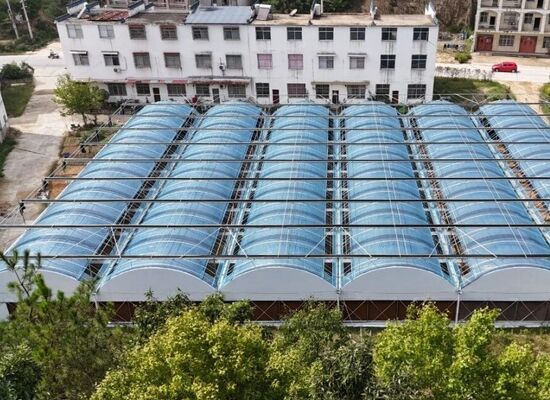 উদ্ভিদের ফলন বৃদ্ধি এবং উদ্ভিদের পরিপক্কতা প্রক্রিয়া ত্বরান্বিত করার জন্য ব্যবহৃত একটি অবিচ্ছিন্ন স্প্যান পলিথিলিন ফিল্ম গ্রিনহাউস