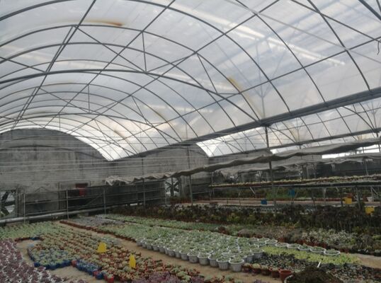 উদ্ভিদের ফলন বৃদ্ধি এবং উদ্ভিদের পরিপক্কতা প্রক্রিয়া ত্বরান্বিত করার জন্য ব্যবহৃত একটি অবিচ্ছিন্ন স্প্যান পলিথিলিন ফিল্ম গ্রিনহাউস