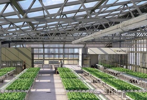 ওয়েনলু ট্যুরিস্ট গ্লাস গ্রিনহাউস - বৃহত আকারের ফল রোপণের গ্রিনহাউস