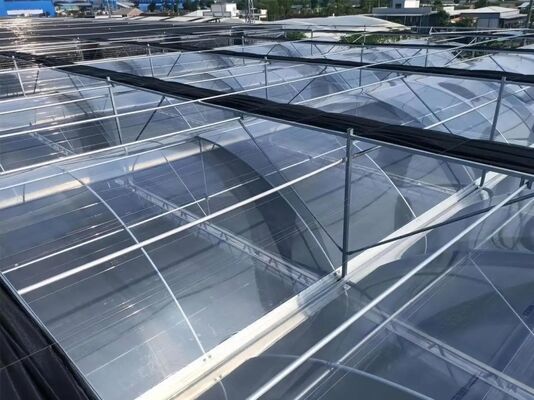 ওয়েনলু ট্যুরিস্ট গ্লাস গ্রিনহাউস - বৃহত আকারের ফল রোপণের গ্রিনহাউস