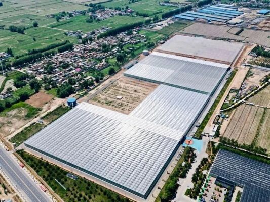 ফল চাষের জন্য গ্রিনহাউস, বড় Woonloos দর্শনীয় স্থান গ্লাস গ্রিনহাউস