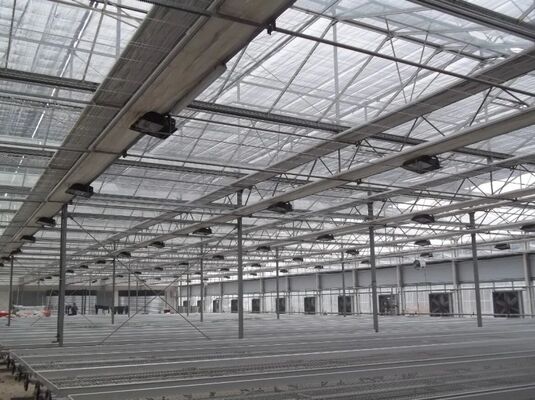 ফল চাষের জন্য গ্রিনহাউস, বড় Woonloos দর্শনীয় স্থান গ্লাস গ্রিনহাউস